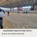 몽쉘통통 | 기승능력인증제 4,5등급 지도자과정 레츠런파크서울 교육 후기