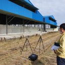 신흥축산 이미지