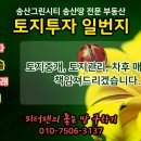 송산그린시티 인근 소액토지투자 가능한 매물! (130평, 평당45만원) 이미지