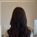 하이연헤어
