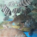 구로횟집 이미지