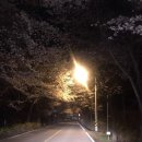 갠지스 사우나 이미지