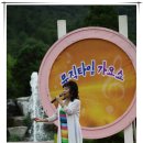 뜰애향
