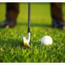 나이스골프연습장 이미지