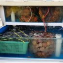 거제도집 이미지