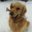 하늘아래 첫동네 꿩밭 이미지