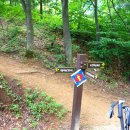 팔공산왕건길 3코스 이미지