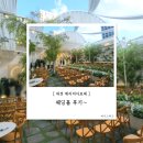 둔산중로-17 | 17. 대전 메리비아포레 웨딩홀 후기