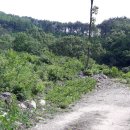 금강에너지(주)직영 남산주유소 | 메따승원 5월 상가보시 및 운용 현황