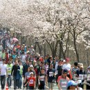 부락산 자전거도로 이미지