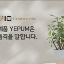 함평농업협동조합장례식장