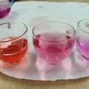 표교3리스마트폰교육 | 나만 모르는 이색 체험 감자빵 만들기 푸르메스마트팜서울농원(72)