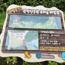 원적산공원 유아숲체험원 이미지