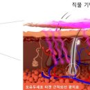 용산-현장-468 이미지