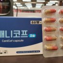 홈플러스동물약국 이미지