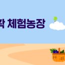 김창규농장 이미지