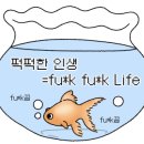 모맨틱스튜디오 네이버블로그