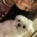 서운치과의원 이미지