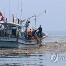 엄마랑 아가랑 동화놀이 이미지