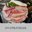 신시로16길1-6 | 구미 복개천 고깃집 추천 맛집! 상당히 만족스러웠던 육미식당 후기