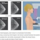 레이디유외과의원 이미지