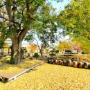 하북초등학교(병설유치원) 이미지