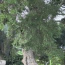 밀둠벙경로당 이미지