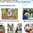 2025 캠핑으로 그린아일랜드 이미지