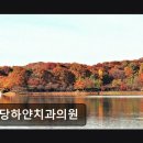 분당하얀치과의원