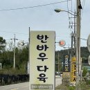 수암농장 | [대부도] 대부도 다육이농장 &lt;반바우다육이세상&gt; 내돈내산 후기 #대부도다육이 반바우다육