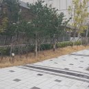 센텀 행정사 사무소 이미지