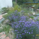 오어사 작은마을  펜션 이미지