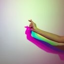 씨젤리피쉬 이미지