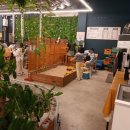 대복장어마을 이미지