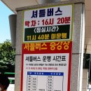 혼밥셔틀