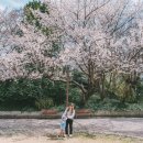 우룡산공원 이미지