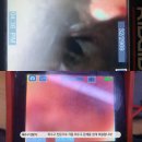 낙성대동-30 이미지