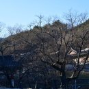 건봉사샘터 이미지