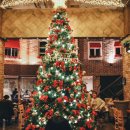 홀리크로스 이미지