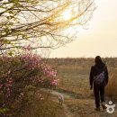 정자 반려견 이미지