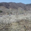 영포농장 이미지