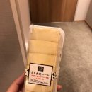 샤론영심헤어닷컴 | 오사카 4박 5일 여행 총정리 및 후기-쇼핑리스트/음식 리뷰