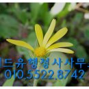 박경진행정사사무소 이미지