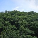 소노벨비발디파크 이미지