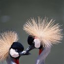 바람이 좋은 저녁 이미지