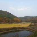 막시골 농원