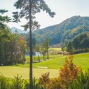 골프투어 이미지