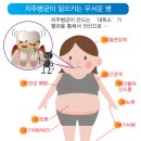 이치덴탈 이미지