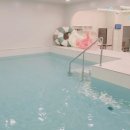 라운지독 이미지