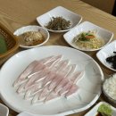 목포 곽튜브 현지인 추천 맛집 홍길동선어회 덕자회 예약방문 솔직후기